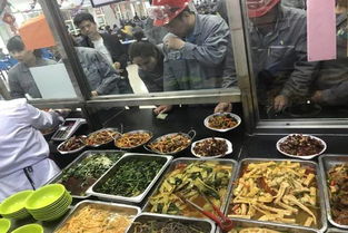 關(guān)愛(ài)員工暖人心，圣雄能源后勤服務(wù)中心多措并舉提升餐飲服務(wù)質(zhì)量